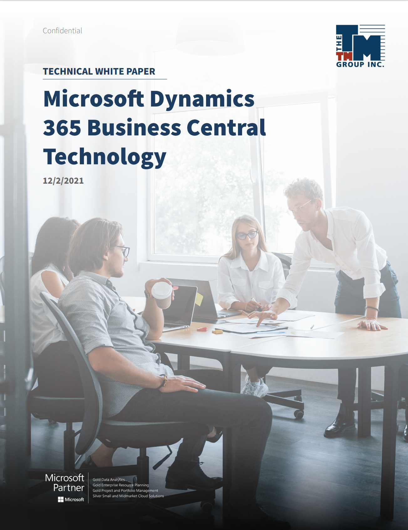 The TM Group, Inc. - Free Microsoft Dynamics 365 Business Central Technical Whitepaper